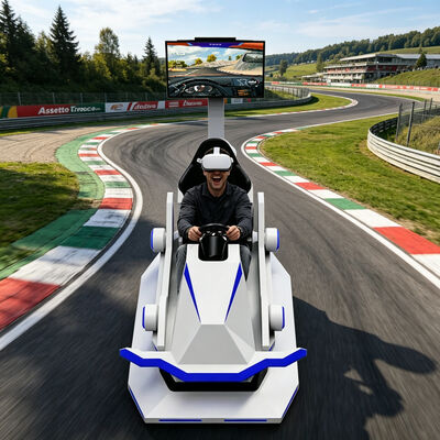 Vrai sentiment 9D réalité virtuelle Vr emballant le centre commercial de centre commercial de simulateur de sports de voiture de plein air